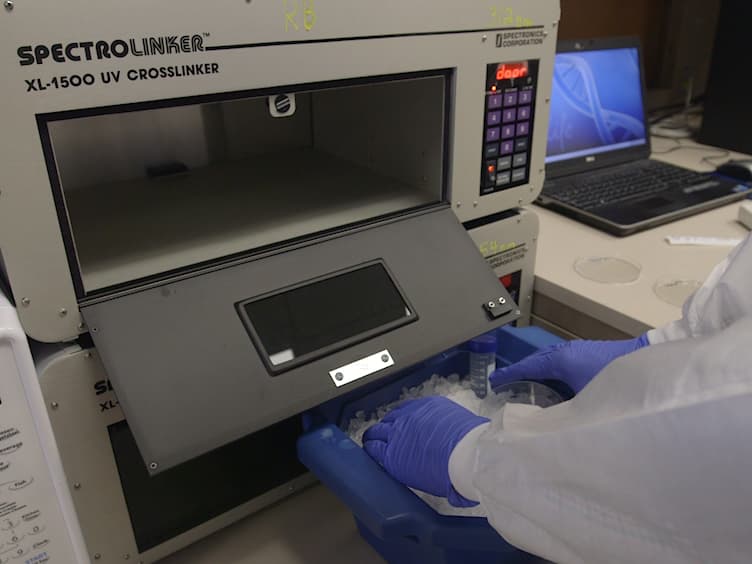 Sample Preparation for Mass Spectrometry-based Identification of RNA-binding Regions