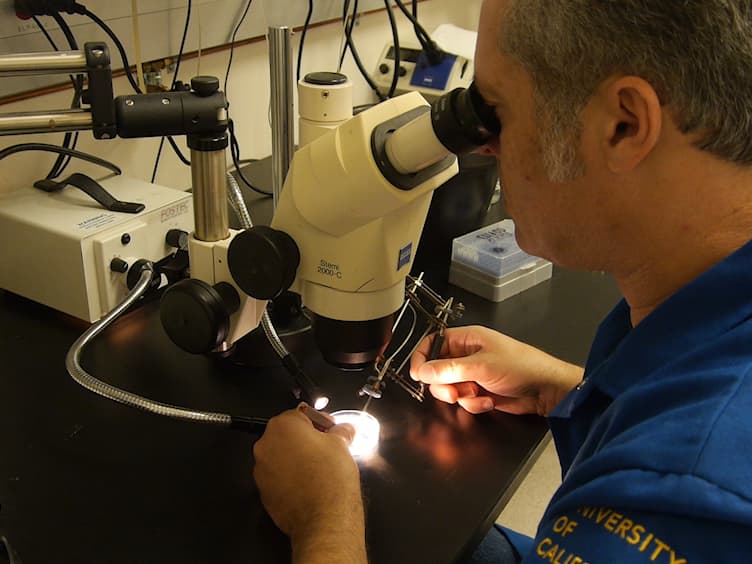 Primordial Germ Cell Transplantation for CRISPR/Cas9-based Leapfrogging in Xenopus