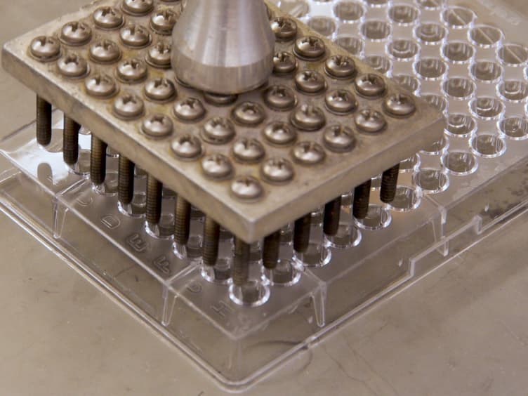 A Modified Yeast-one Hybrid System for Heteromeric Protein Complex-DNA Interaction Studies