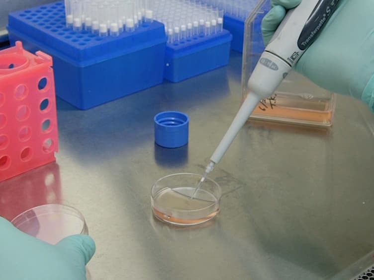 Quantifying Human Monocyte Chemotaxis In Vitro and Murine Lymphocyte Trafficking In Vivo