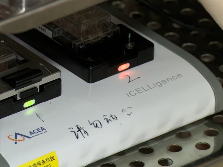 Regeneration of Arrayed Gold Microelectrodes Equipped for a Real-Time Cell Analyzer