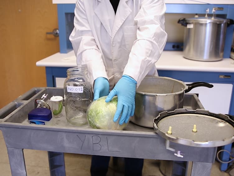 Procedures of Laboratory Fumigation for Pest Control with Nitric Oxide Gas