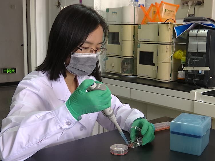 An Alternative Culture Method to Maintain Genomic Hypomethylation of Mouse Embryonic Stem Cells Using MEK Inhibitor PD0325901 and Vitamin C
