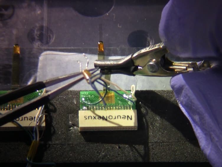 Implantation of Chronic Silicon Probes and Recording of Hippocampal Place Cells in an Enriched Treadmill Apparatus