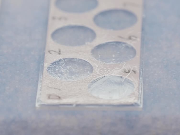 Evaluating <em>In Vitro</em> DNA Damage Using Comet Assay