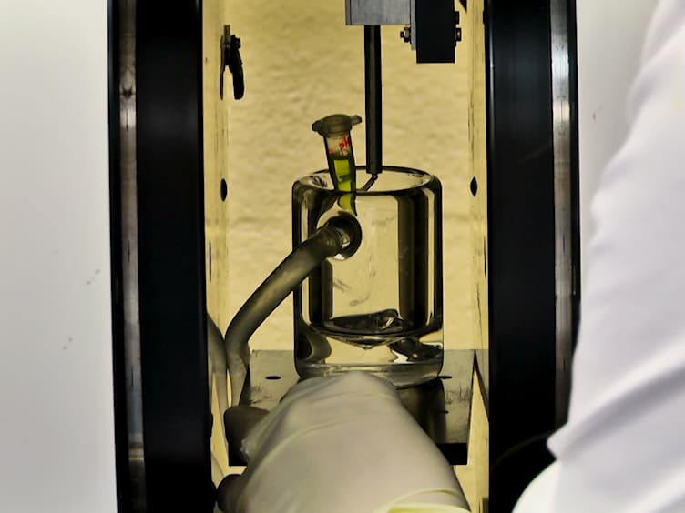 <em>In Vivo</em> EPR Assessment of pH, <em>p</em>O<sub>2</sub>, Redox Status, and Concentrations of Phosphate and Glutathione in the Tumor Microenvironment