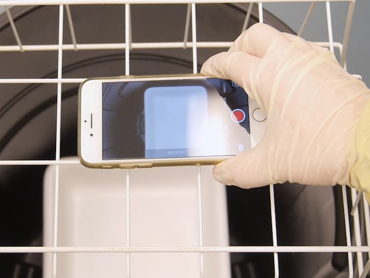 A Simple and Low-cost Assay for Measuring Ambulation in Mouse Models of Muscular Dystrophy