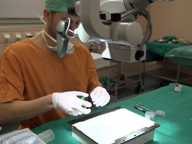 Cochlear Implantation in the Guinea Pig