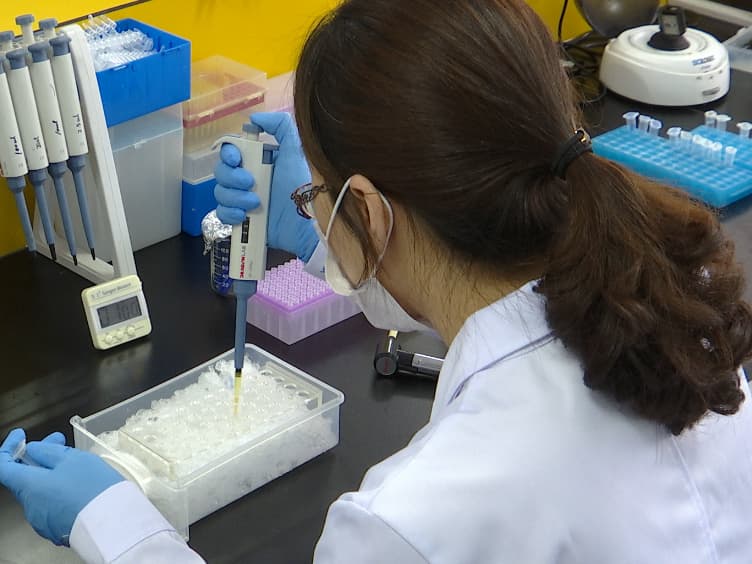High Throughput, Absolute Determination of the Content of a Selected Protein at Tissue Levels Using Quantitative Dot Blot Analysis QDB