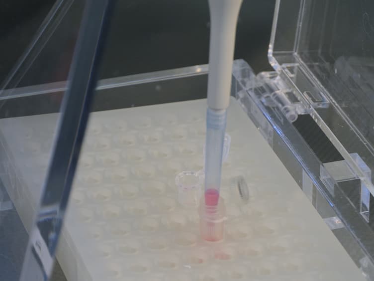 Metabolic Labeling and Profiling of Transfer RNAs Using Macroarrays