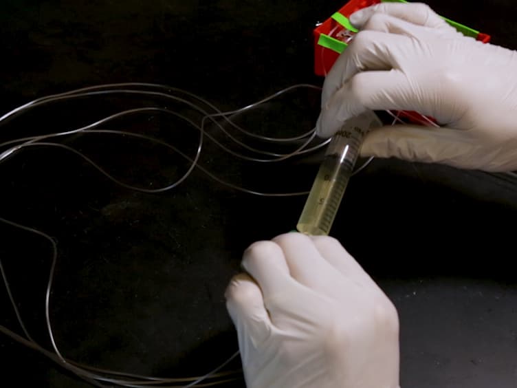 Single-cell Microfluidic Analysis of <em>Bacillus subtilis</em>