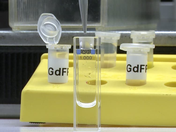 Engineering 'Golden' Fluorescence by Selective Pressure Incorporation of Non-canonical Amino Acids and Protein Analysis by Mass Spectrometry and Fluorescence