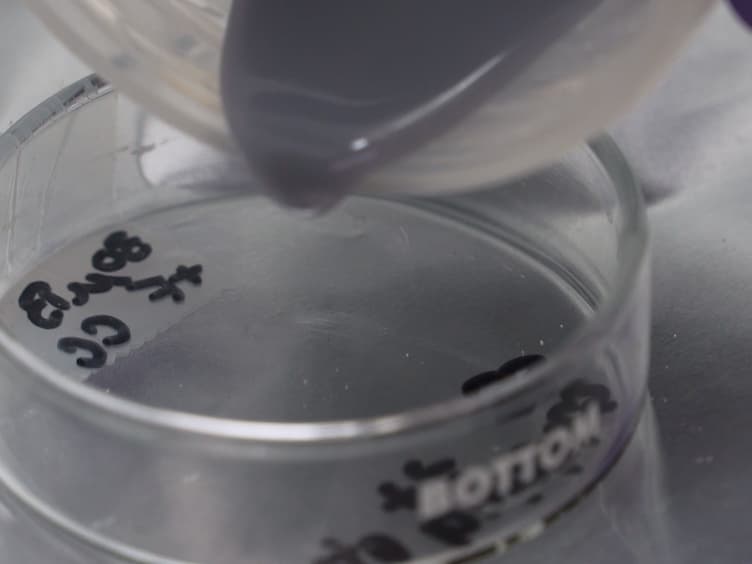 Fabrication and Characterization of Optical Tissue Phantoms Containing Macrostructure
