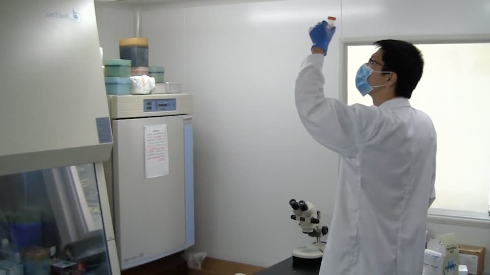 Generation of Monoclonal Antibodies Against Natural Products