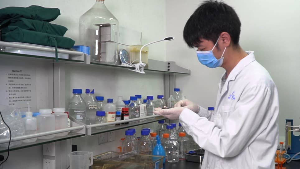 A Method for Islet Transplantation to the Omentum in Mouse