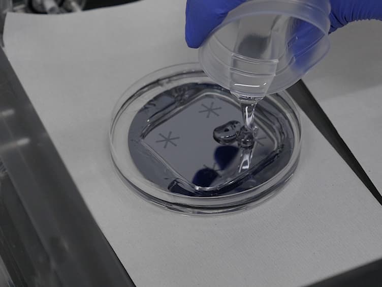 Development of Microfluidic Devices to Study the Elongation Capability of Tip-growing Plant Cells in Extremely Small Spaces