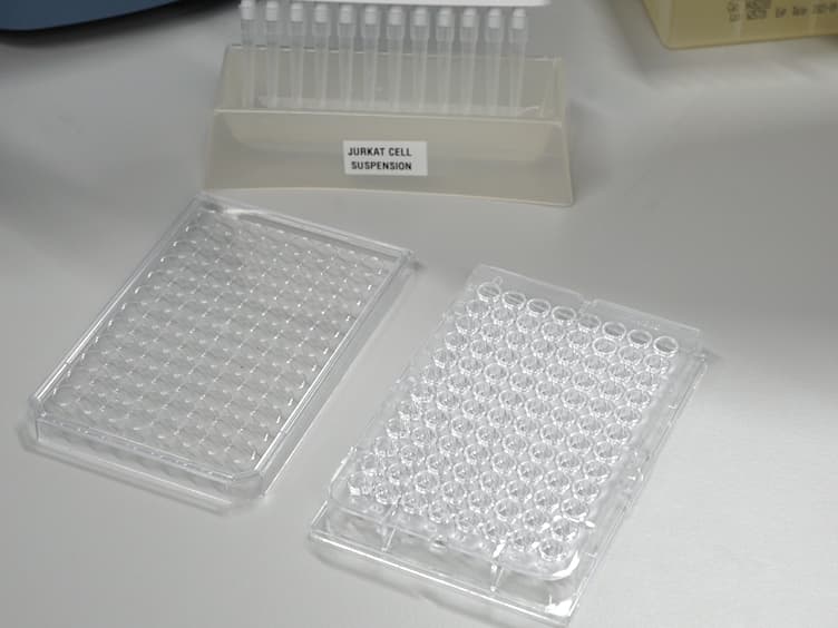 A Flow Cytometry-based Assay to Identify Compounds That Disrupt Binding of Fluorescently-labeled CXC Chemokine Ligand 12 to CXC Chemokine Receptor 4