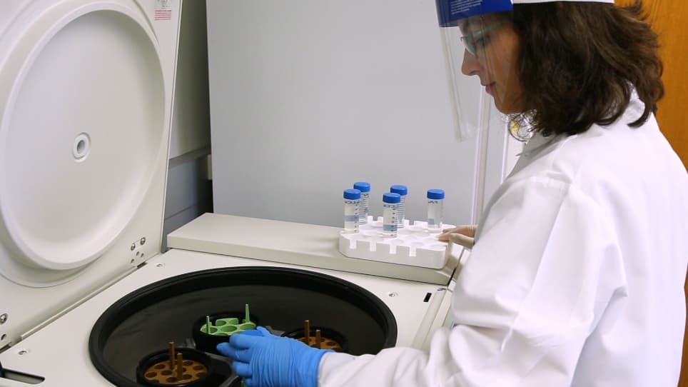Isolation of Cerebral Capillaries from Fresh Human Brain Tissue