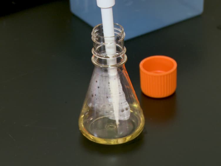 Construction of Synthetic Phage Displayed Fab Library with Tailored Diversity