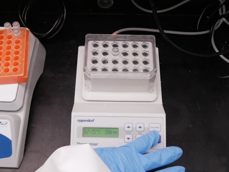 A Simple Flow Cytometry Based Assay to Determine <em>In Vitro</em> Antibody Dependent Enhancement of Dengue Virus Using Zika Virus Convalescent Serum