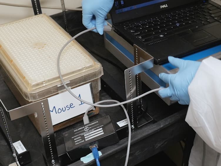 Noninvasive, High-throughput Determination of Sleep Duration in Rodents
