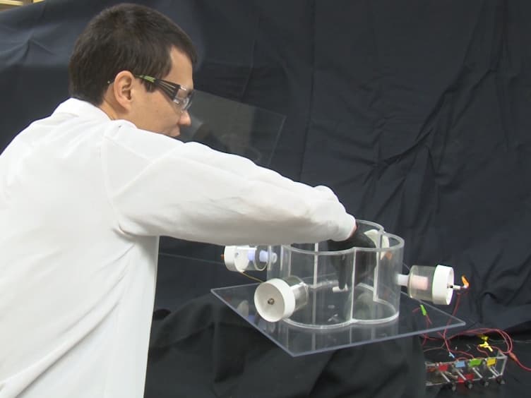 Key Elements of Photo Attraction Bioassay for Insect Studies or Monitoring Programs