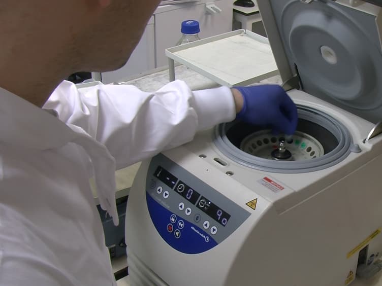 Evaluating Vascular Hyperpermeability-inducing Agents in the Skin with the Miles Assay