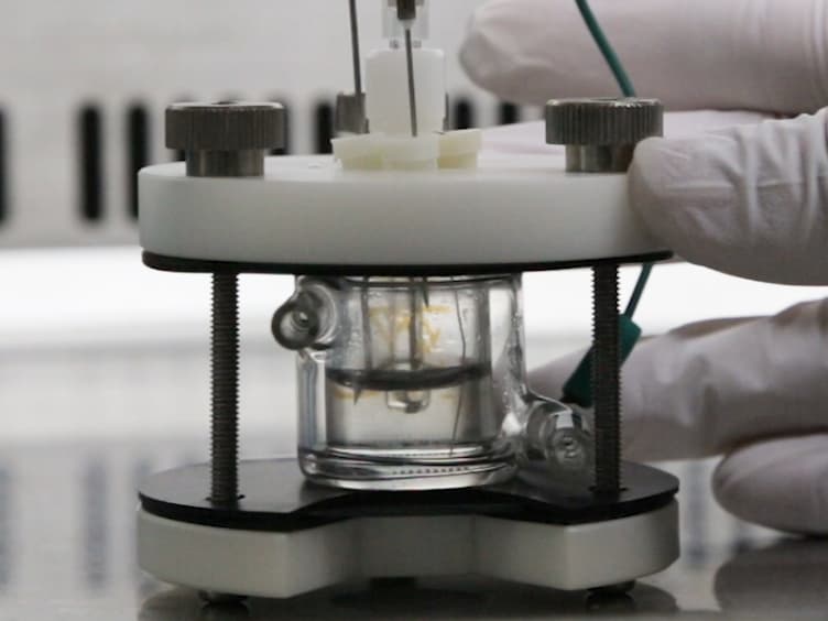 Electrochemical Detection of Deuterium Kinetic Isotope Effect on Extracellular Electron Transport in <em>Shewanella oneidensis</em> MR-1