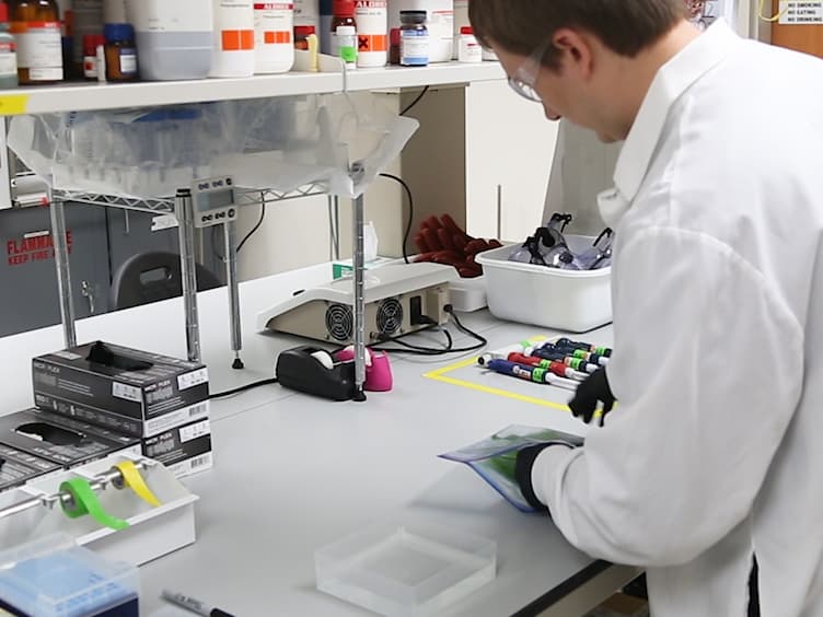Two Methods for Decellularization of Plant Tissues for Tissue Engineering Applications
