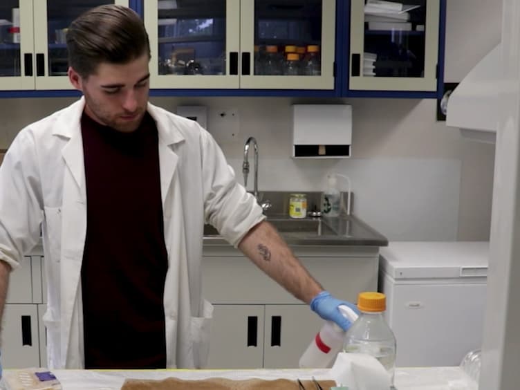 Organotypic Culture Method to Study the Development Of Embryonic Chicken Tissues