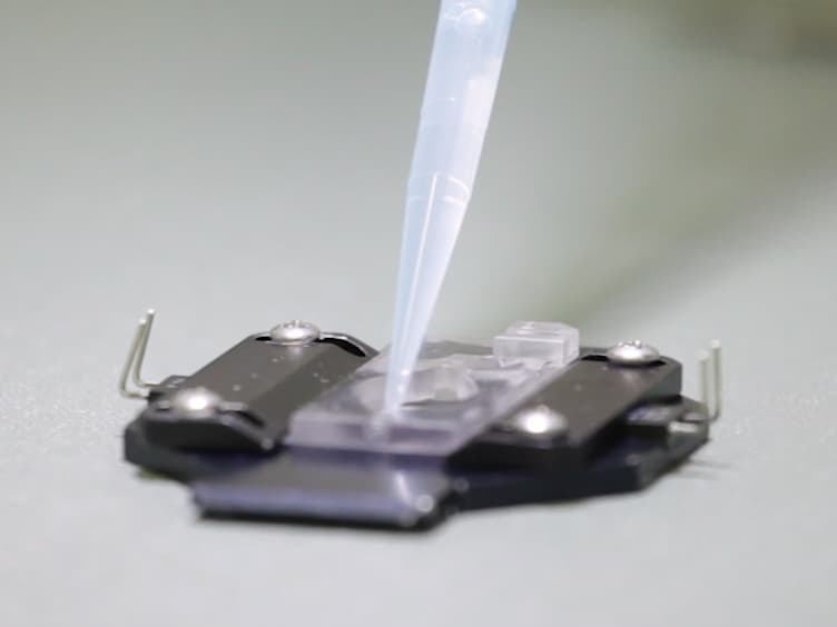 Micromanipulation Techniques Allowing Analysis of Morphogenetic Dynamics and Turnover of Cytoskeletal Regulators