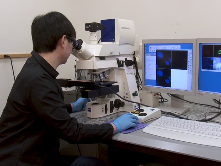 Characterizing DNA Repair Processes at Transient and Long-lasting Double-strand DNA Breaks by Immunofluorescence Microscopy