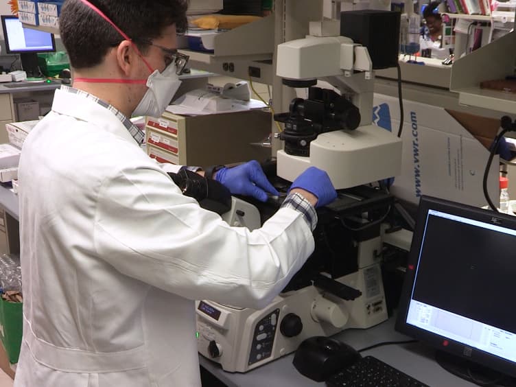 Optimization of Laser-Capture Microdissection for the Isolation of Enteric Ganglia from Fresh-Frozen Human Tissue