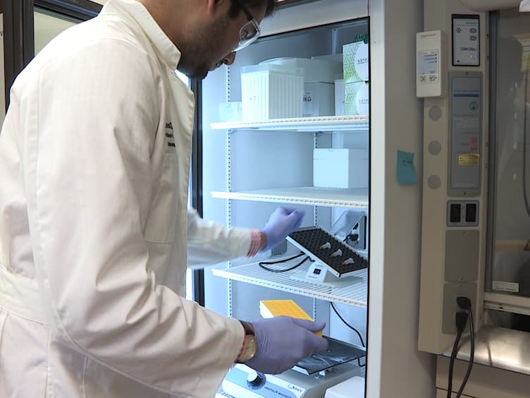 Biotin-based Pulldown Assay to Validate mRNA Targets of Cellular miRNAs