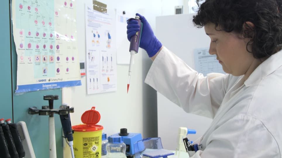 Database-guided Flow-cytometry for Evaluation of Bone Marrow Myeloid Cell Maturation