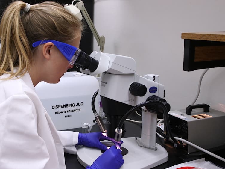 In Vitro Rearing of Solitary Bees: A Tool for Assessing Larval Risk Factors