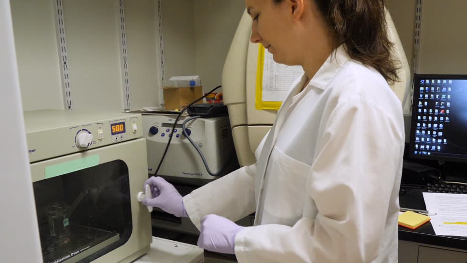 Tissue-specific miRNA Expression Profiling in Mouse Heart Sections Using In Situ Hybridization