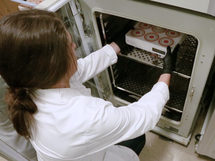 In Vivo Photolabeling of Cells in the Colon to Assess Migratory Potential of Hematopoietic Cells in Neonatal Mice