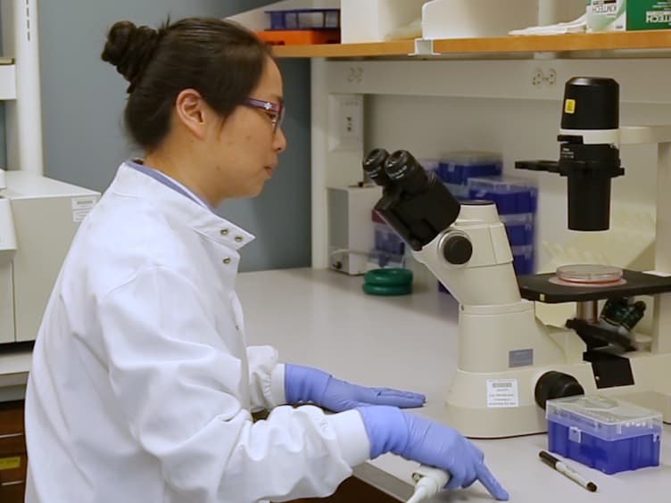 Pancreatic Islet Embedding for Paraffin Sections