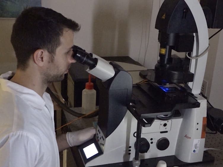 Imaging FITC-dextran as a Reporter for Regulated Exocytosis