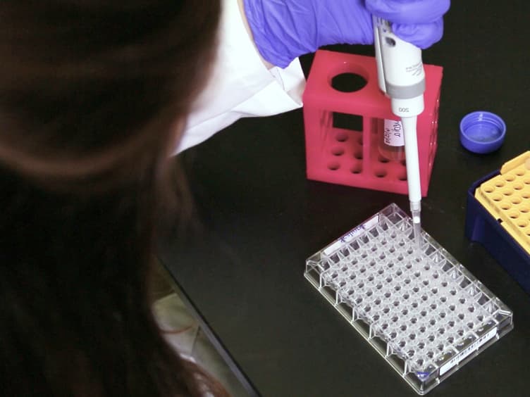 Metabolic Analysis of Drosophila melanogaster Larval and Adult Brains