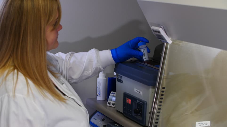 Whole Cell Electrophysiology of Primary Cultured Murine Enterochromaffin Cells