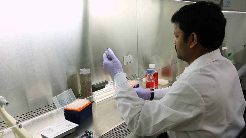 A Proximal Culture Method to Study Paracrine Signaling Between Cells