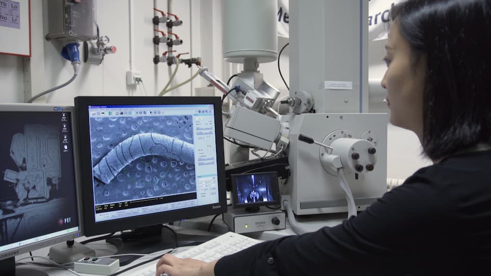 Stereolithographic 3D Printing with Renewable Acrylates