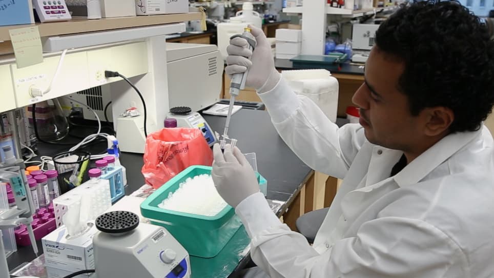 Isolation of Primary Mouse Hepatocytes for Nascent Protein Synthesis Analysis by Non-radioactive L-azidohomoalanine Labeling Method