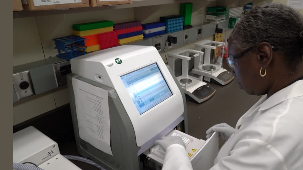 Laser-assisted Lentiviral Gene Delivery to Mouse Fertilized Eggs