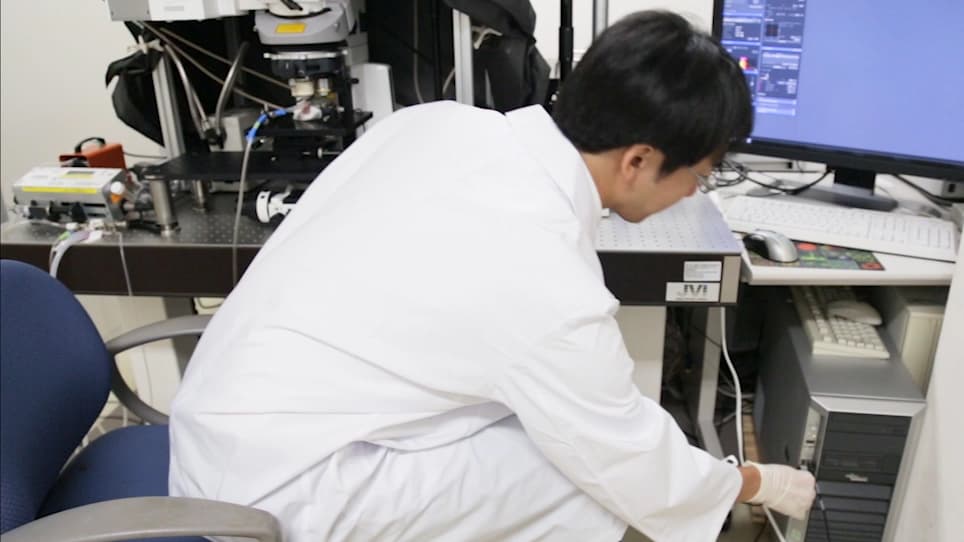 In Vivo Two-photon Imaging of Cortical Neurons in Neonatal Mice