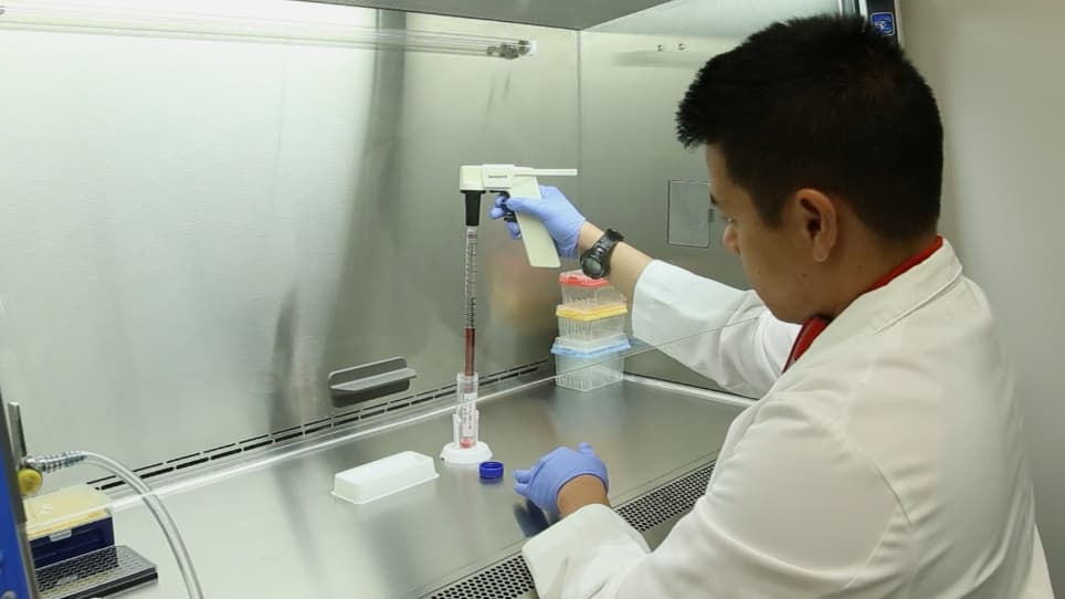 High-throughput Measurement of Plasma Membrane Resealing Efficiency in Mammalian Cells