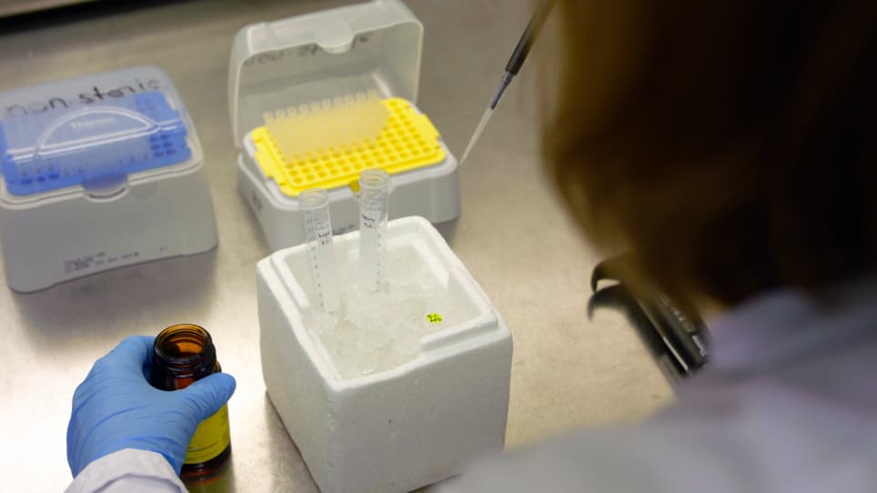 Analysis of Thylakoid Membrane Protein Complexes by Blue Native Gel Electrophoresis