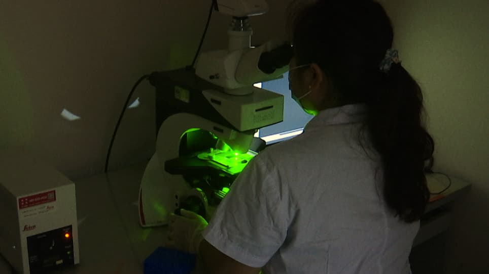 Sub-acute Cerebral Microhemorrhages Induced by Lipopolysaccharide Injection in Rats